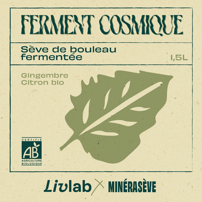 Sève de bouleau fermentée – 1.5 L
