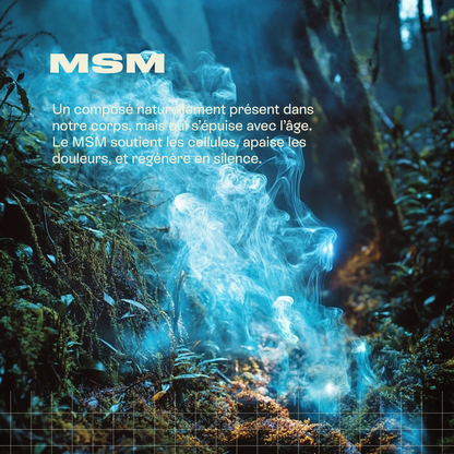 Force V - Cure vitalité