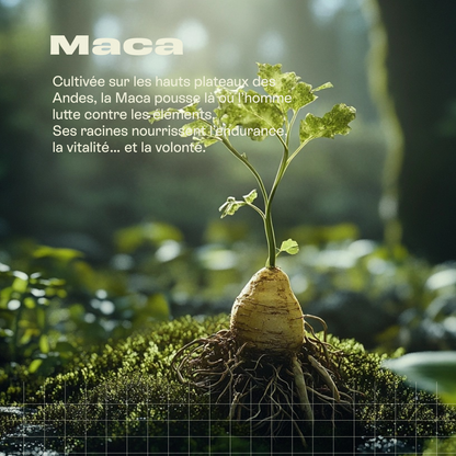 Maca Bio –  200 g