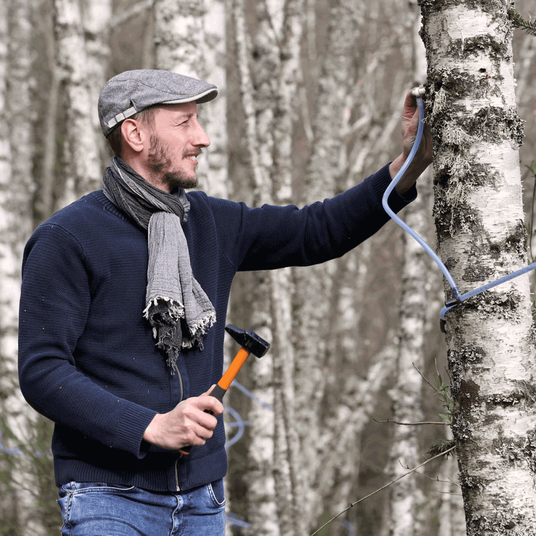 Seiva de bétula fermentada – 1.5 L